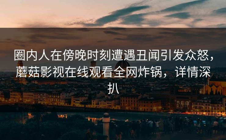 圈内人在傍晚时刻遭遇丑闻引发众怒，蘑菇影视在线观看全网炸锅，详情深扒